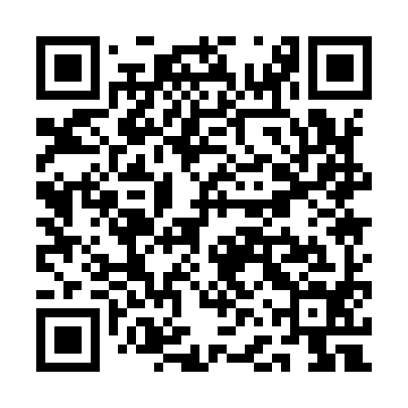 QR code for QFQ994