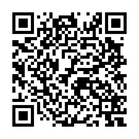 QR code for QFS029