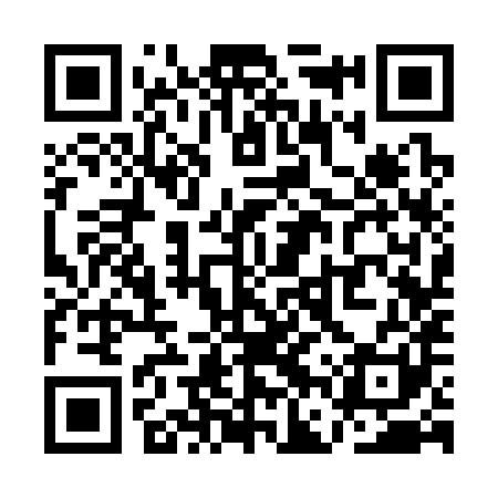 QR code for QFS381