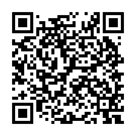 QR code for QFU293
