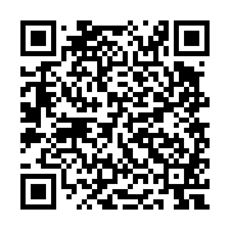 QR code for QGB481