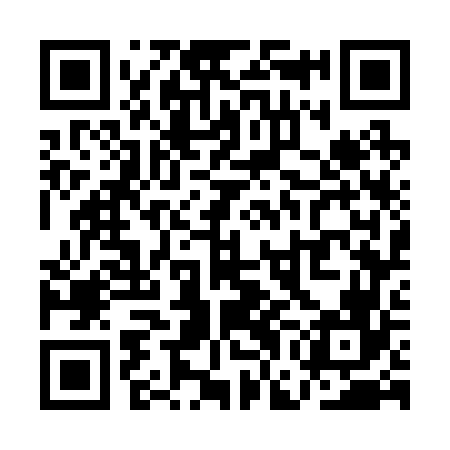 QR code for QGG266