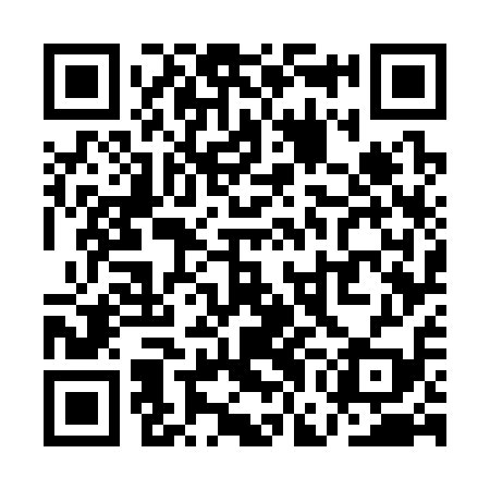 QR code for QGG319