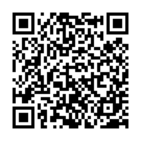 QR code for QGG487