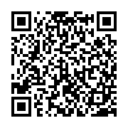 QR code for QGI303