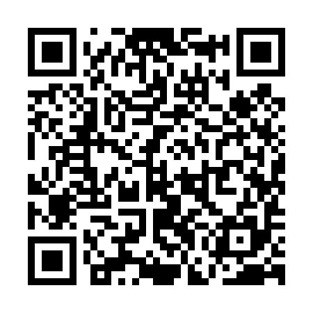 QR code for QGI495