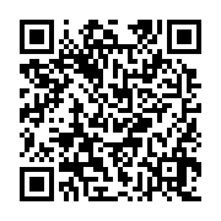 QR code for QGN336