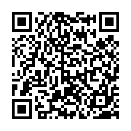 QR code for QGN417