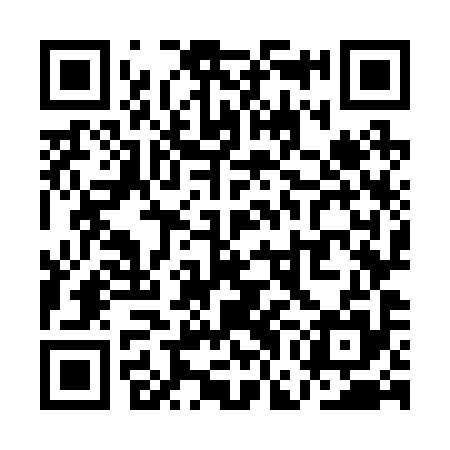 QR code for QGO295