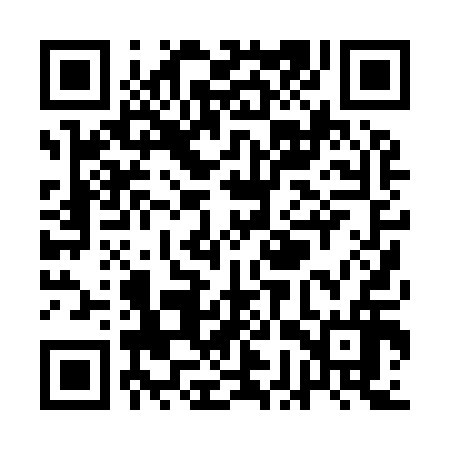 QR code for QGP916