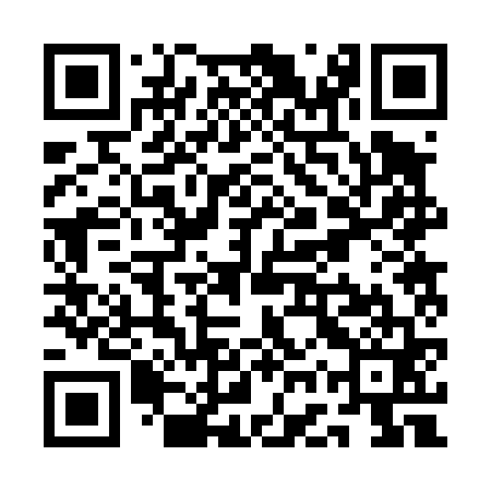 QR code for QGR461