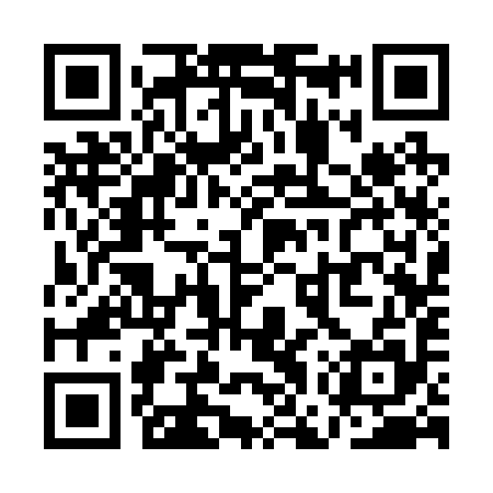 QR code for QGS295