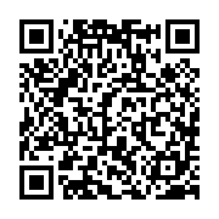 QR code for QGX095