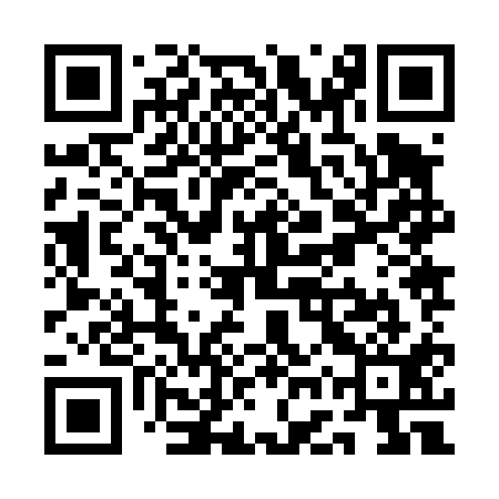 QR code for QGZ411