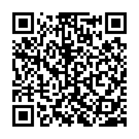 QR code for QHS738