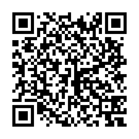 QR code for QIA538