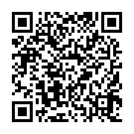 QR code for QIA918