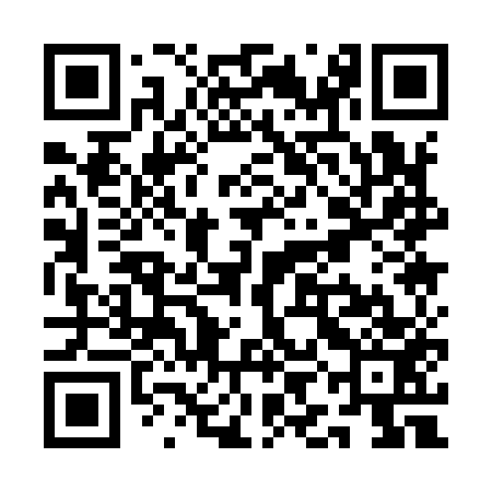QR code for QIA953