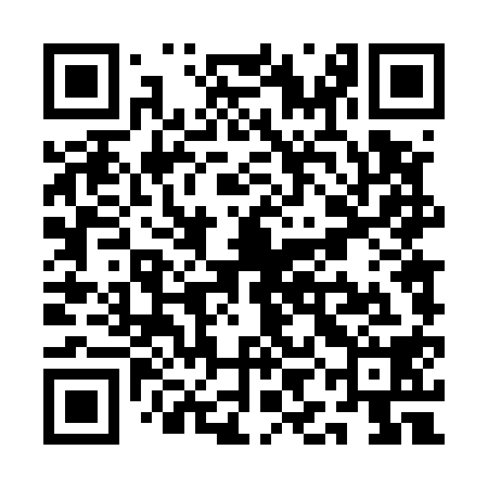 QR code for QID518