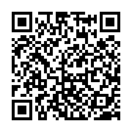 QR code for QID519