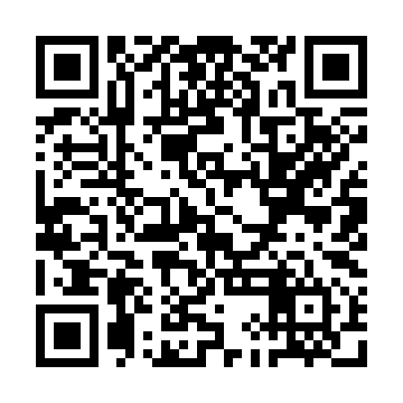 QR code for QII394