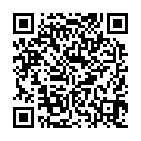 QR code for QIJ311