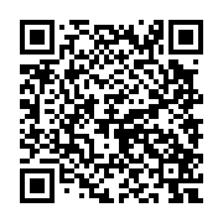 QR code for QIN007