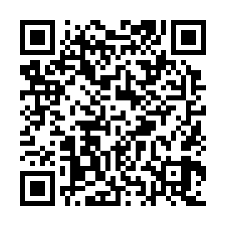 QR code for QIN369