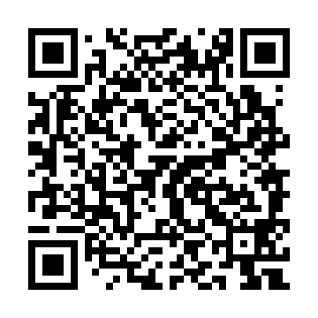 QR code for QIN398