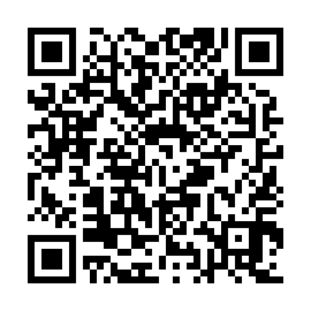 QR code for QIN810