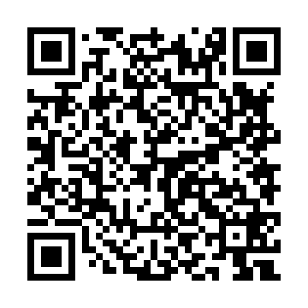 QR code for QIN868