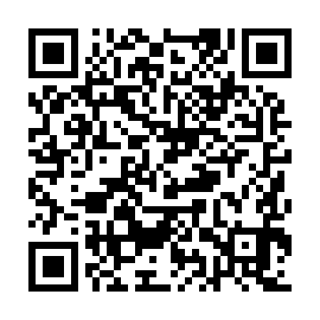 QR code for QIP991