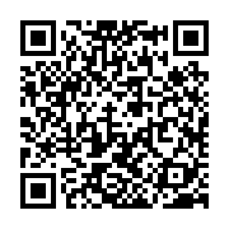 QR code for QIR229