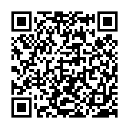 QR code for QIU413