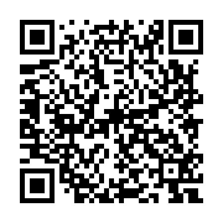 QR code for QIX913