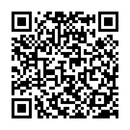 QR code for QIZ009