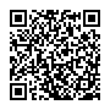 QR code for QIZ303