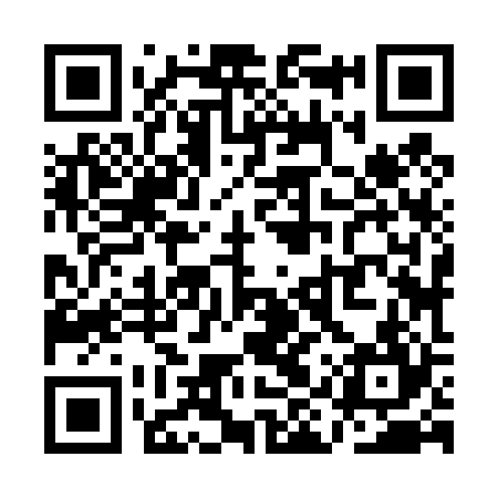 QR code for QIZ424