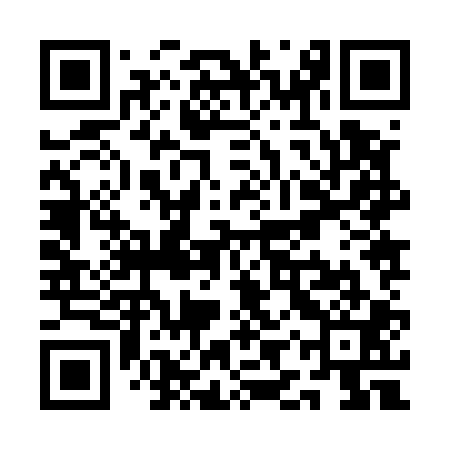 QR code for QIZ501