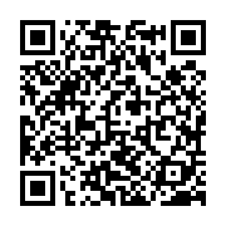 QR code for QIZ509