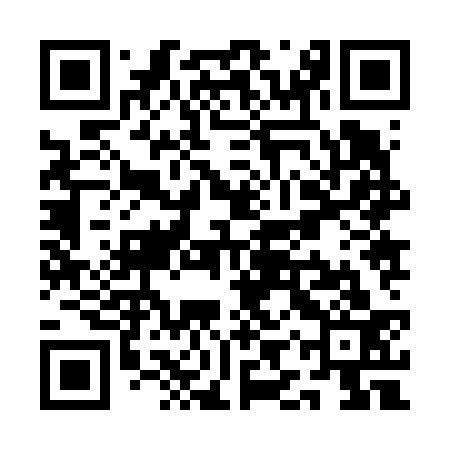 QR code for QIZ633