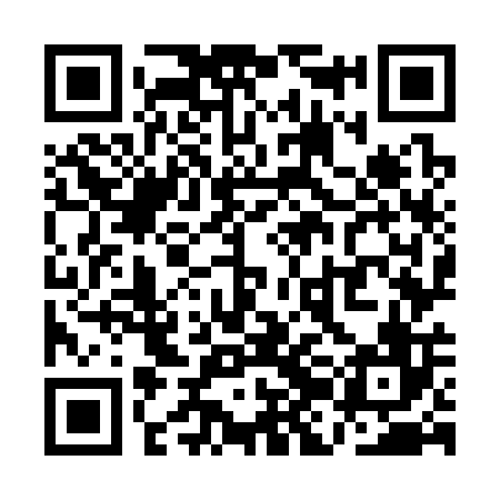 QR code for QJO306