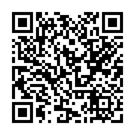 QR code for QJP333