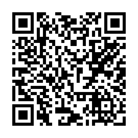 QR code for QJQ295