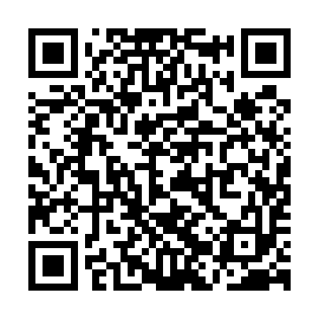 QR code for QJQ593