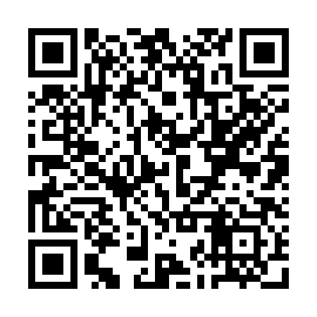 QR code for QJR383