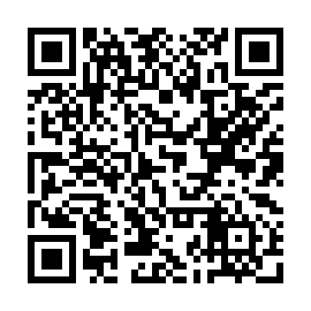 QR code for QJZ994