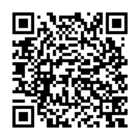QR code for QKG379