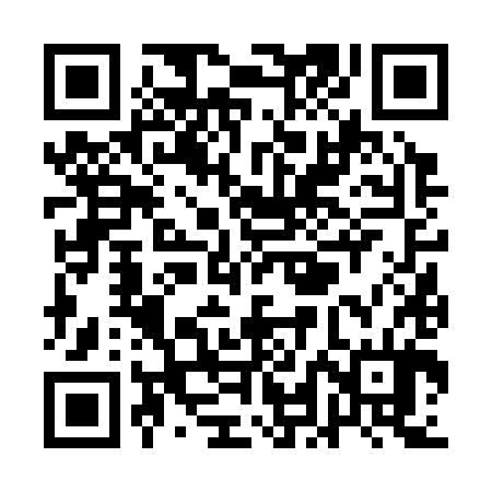 QR code for QLF384