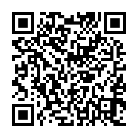 QR code for QLF951